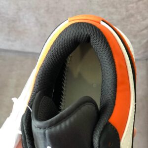 Jordan 1 Cam Den