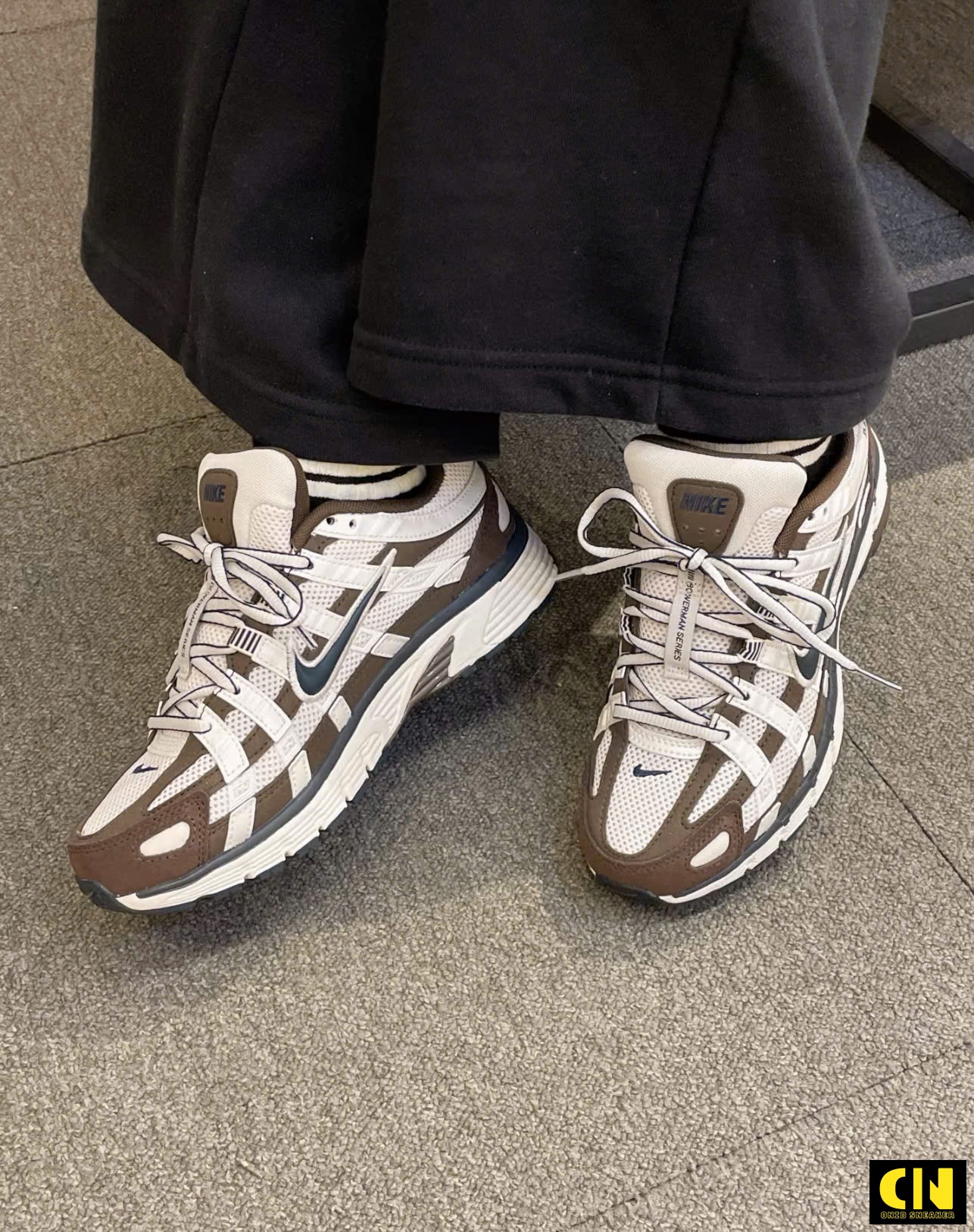 Giày Thể Thao Nike P-6000 Baroque Brown Metallic Giày Thể Thao Nike P-6000 Baroque Brown Metallic