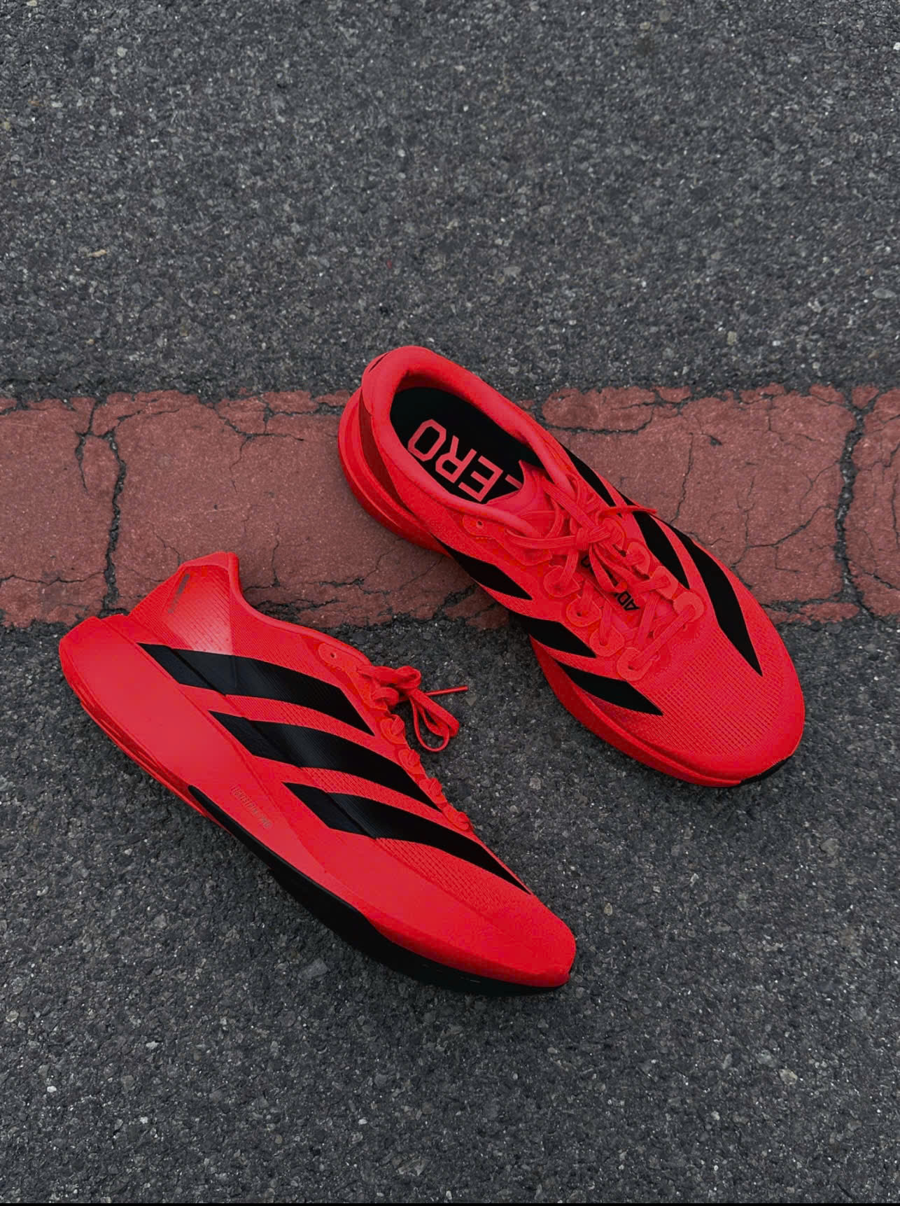 Giày Adidas Adizero Evo Sl Pure Ruby Fullbox Giày Adidas Adizero EVO SL Pure Ruby Fullbox