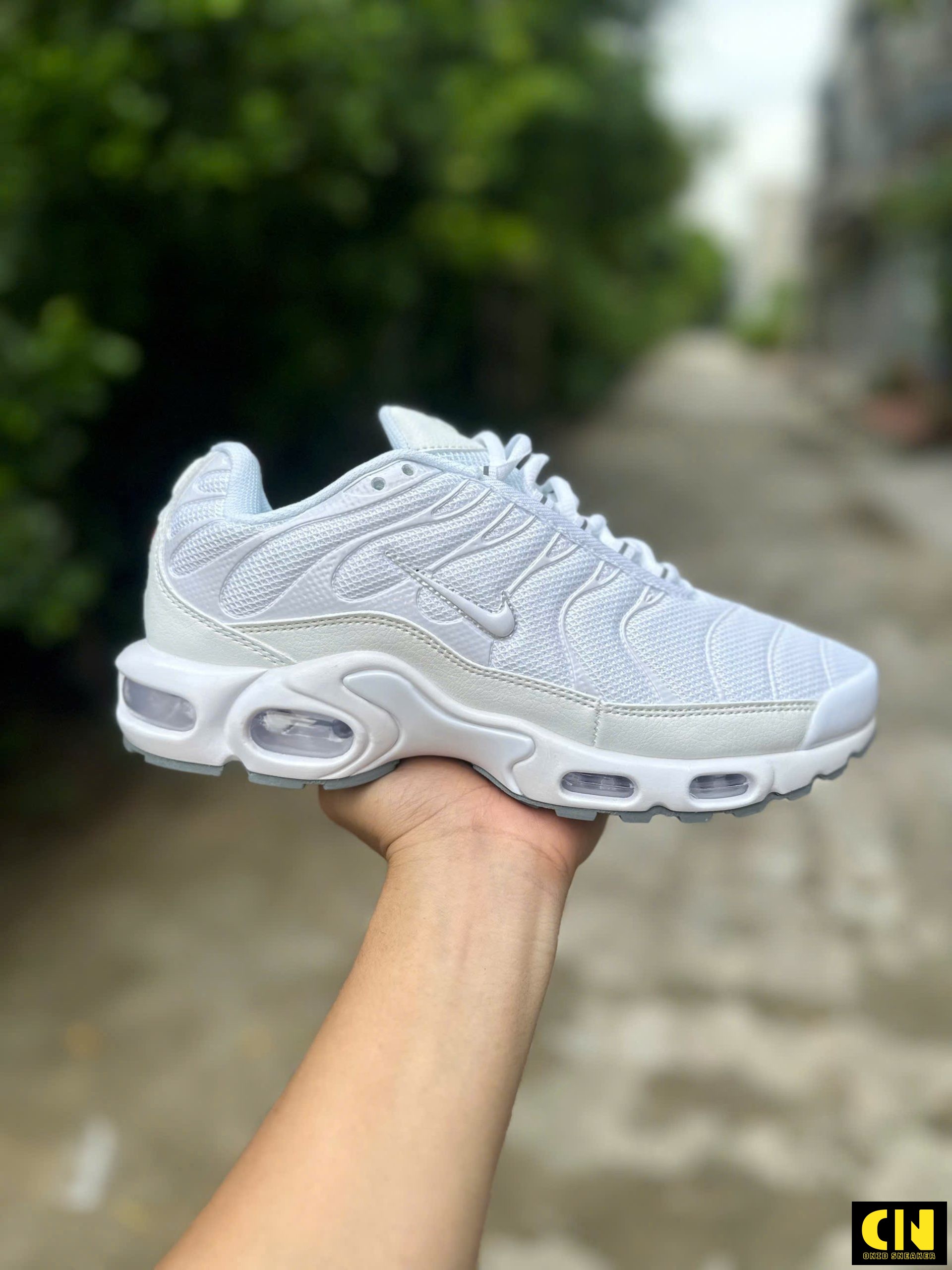 Giày Sneaker Nike Air Max Plus Trắng Bạc Giày Sneaker Nike Air Max Plus Trắng Bạc