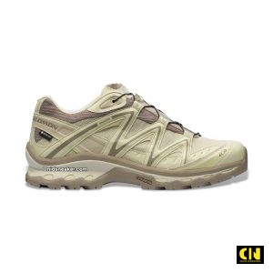 Giày Salomon XT-Quest GTX Almilk Aloewa Vinkha